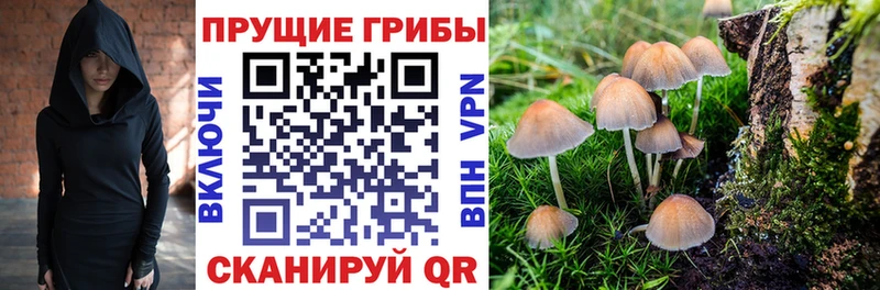 Галлюциногенные грибы мицелий  Красноперекопск 
